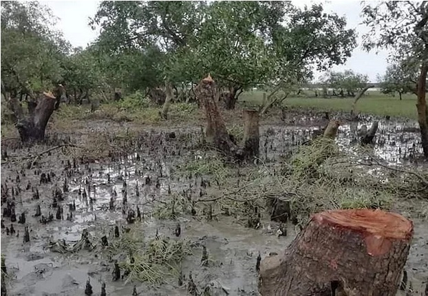 Porno 20 sm Jinsiy aloqa kochada kondiriladi