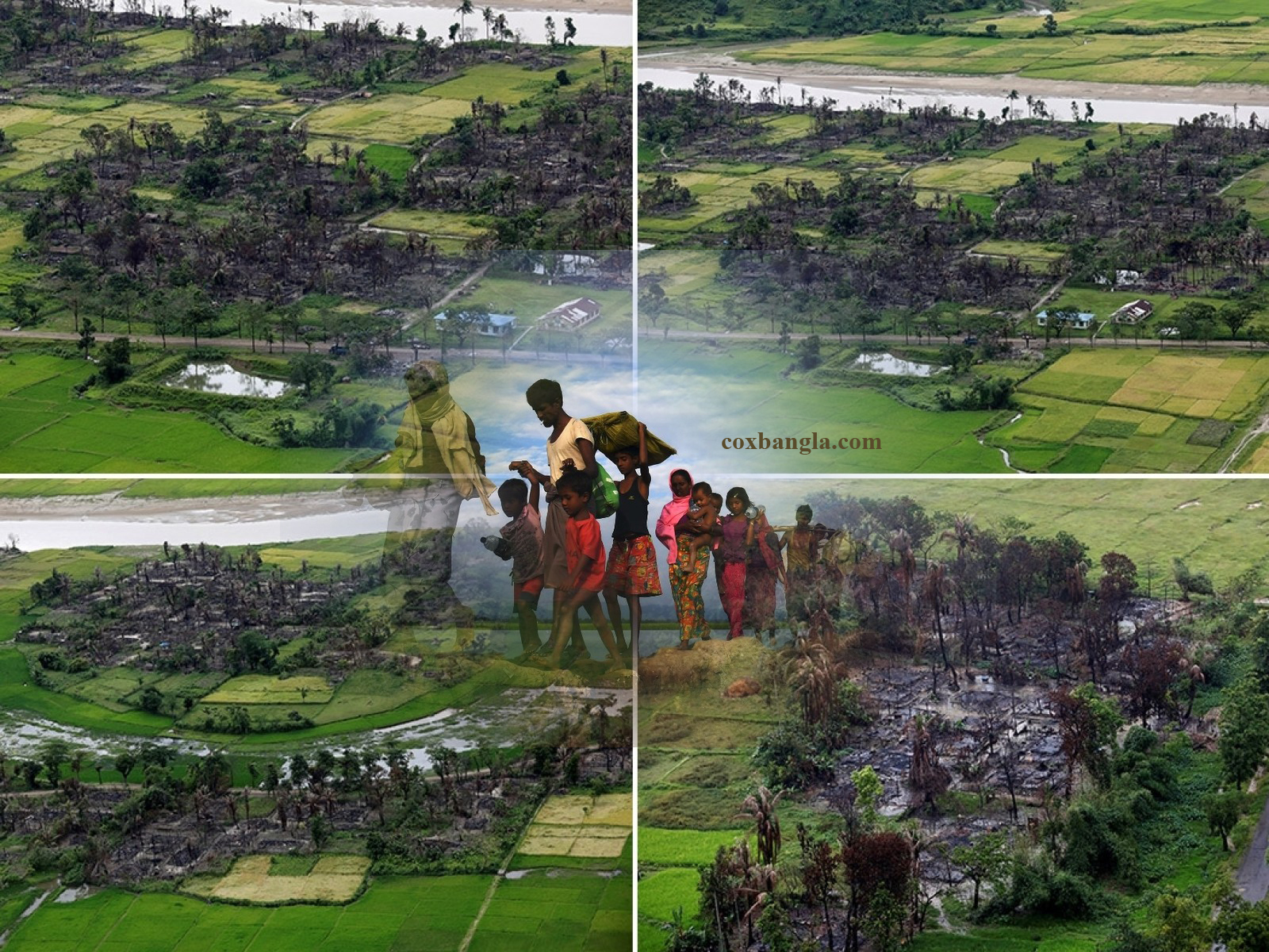 Veb-kamera orqali jiringlash