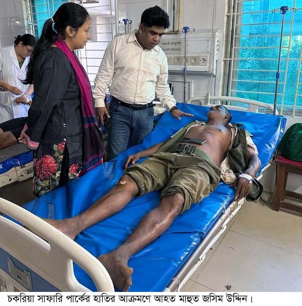 চকরিয়া সাফারি পার্কের হাতির আক্রমণে দুই মাহুত আহত