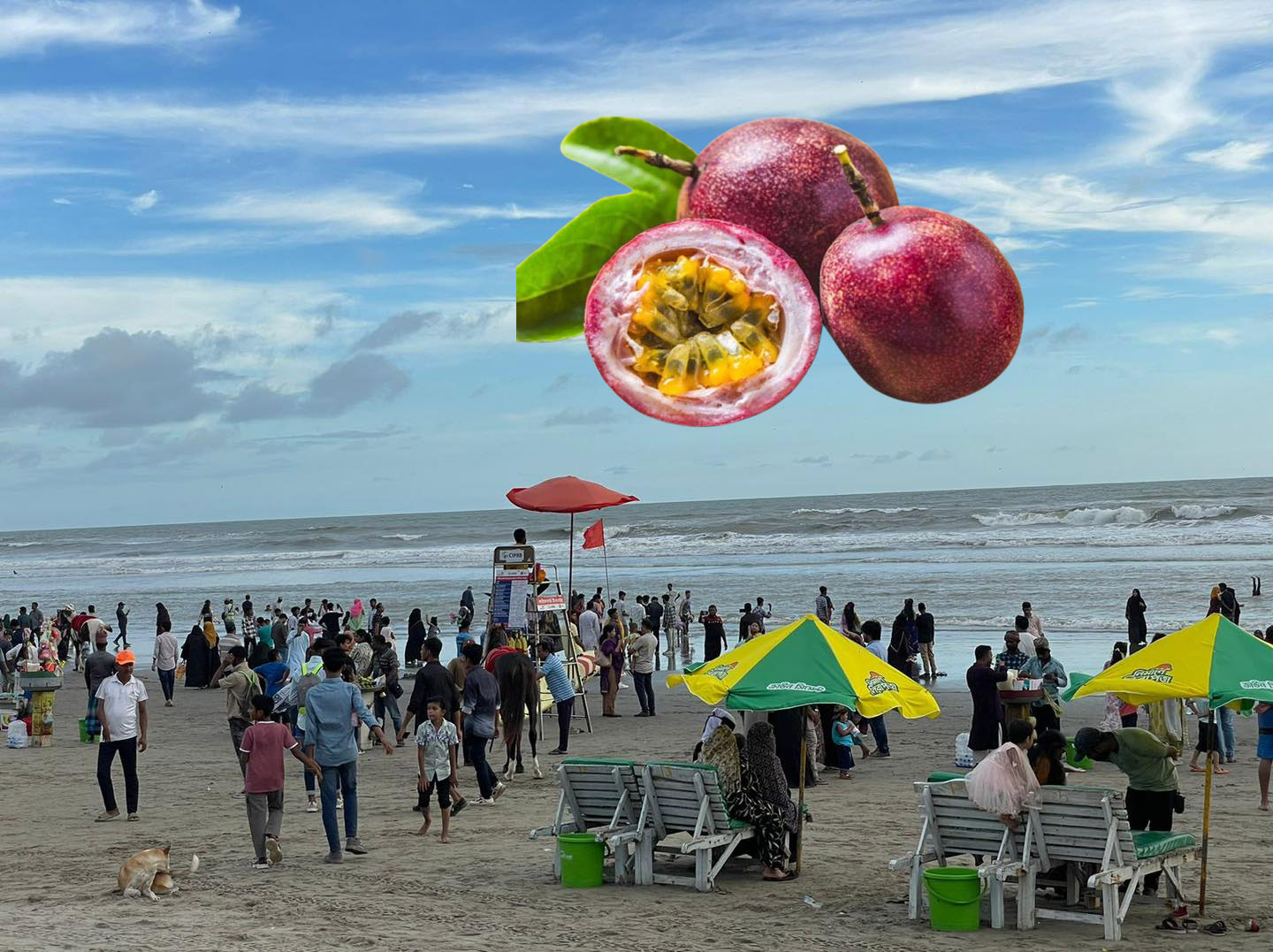 আনারকলি ফল : কক্সবাজারে কেন বাড়ছে জনপ্রিয়তা