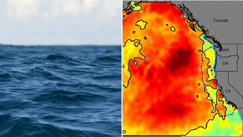 রহস্যময় সামুদ্রিক তাপপ্রবাহে গরম প্রশান্ত মহাসাগর