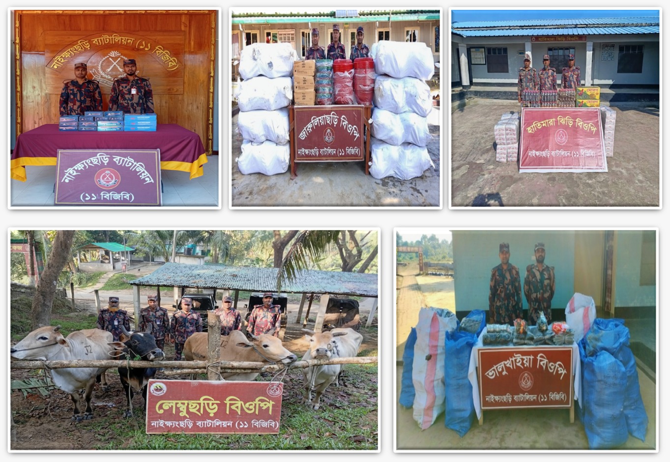 নাইক্ষ্যংছড়ি সীমান্তে পাচারকালে ৩ দিনে বিপুল পণ্য জব্দ