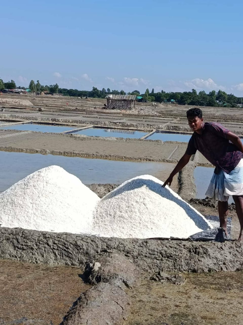লবণ আমদানীর খবরে মহেশখালীর চাষীদের মাঝে চরম হতাশা ও ক্ষোভ