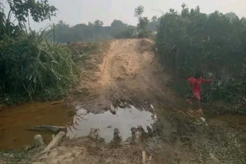 ঈদগড়ে ব্রিজের অভাবে চরম দুর্ভোগে ৫শ জনসাধারণ